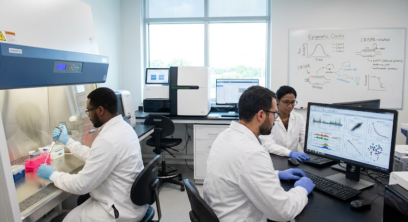 Tecnologia Epigenética: Análise Crítica do Futuro da Medicina